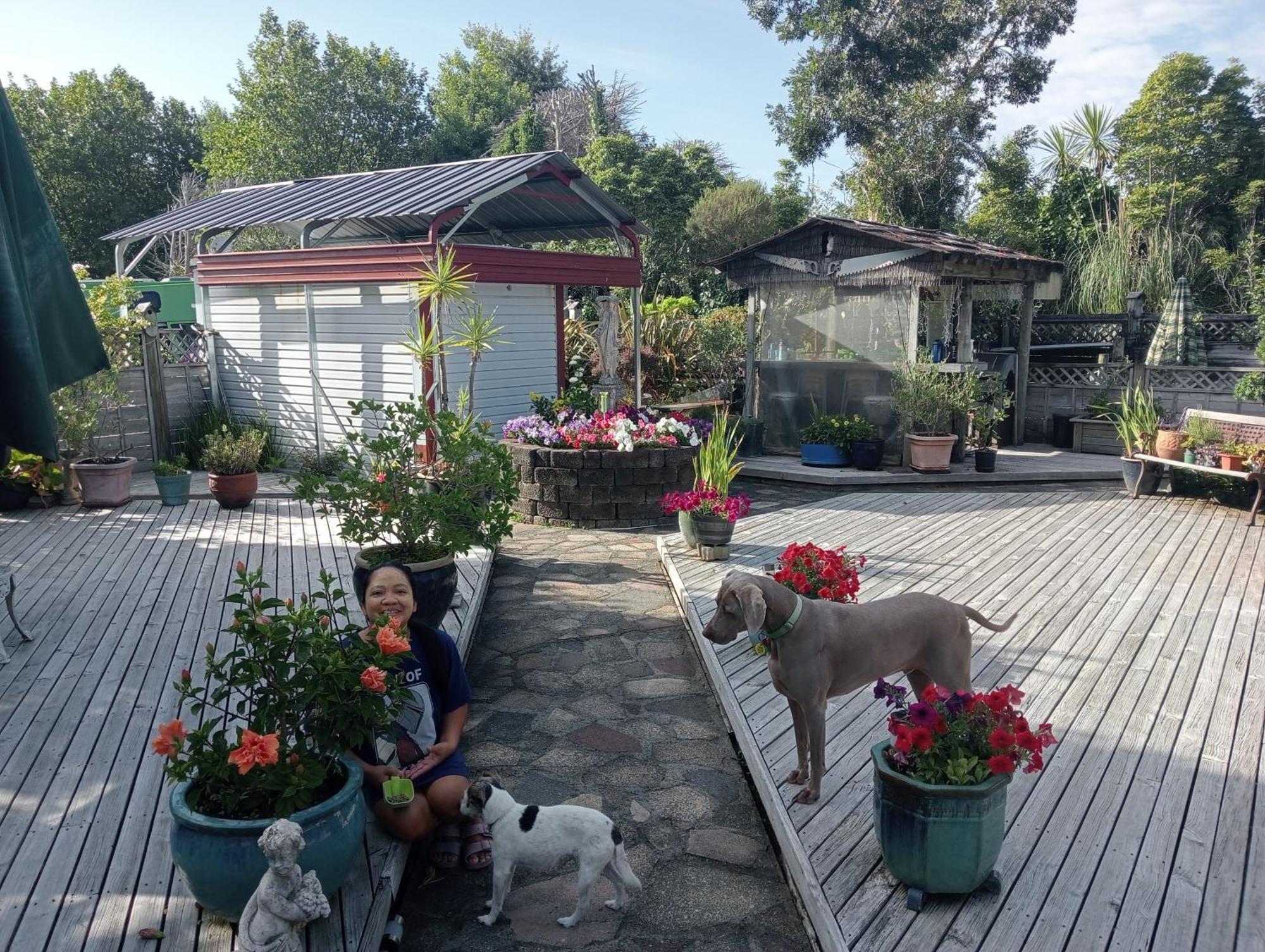 Applaud Bnb Drury Exterior foto